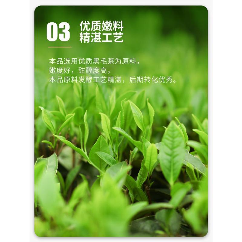 CHINATEA Jinhua MM Hunan Anhua Golden Flowers Fucha Dark Tea Brick Fu Zhuan 360g