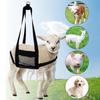 Sling pour veau pour peser les animaux Balance suspendue Sling avec sangles réglables Réutilisable pour veaux Agneaux Chèvres Bébés Alpagas