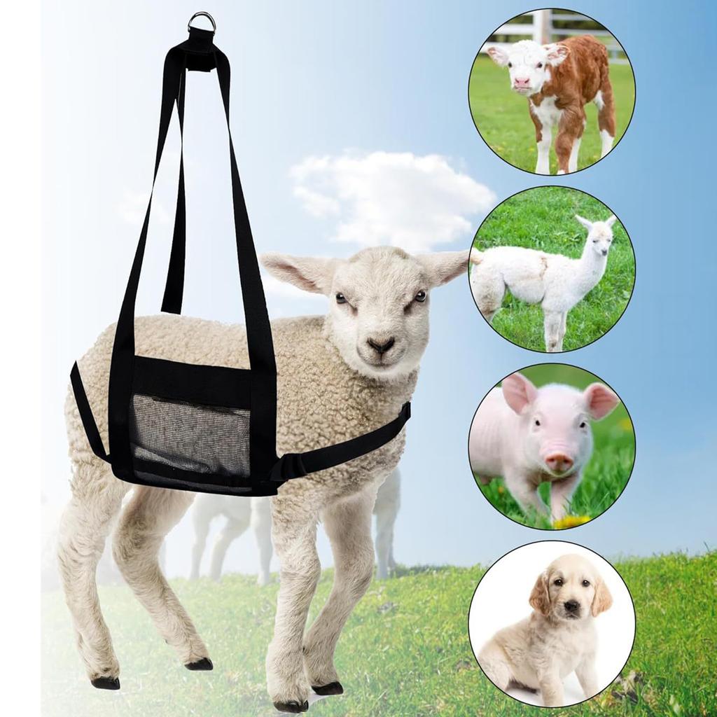 Sling pour veau pour peser les animaux Balance suspendue Sling avec sangles réglables Réutilisable pour veaux Agneaux Chèvres Bébés Alpagas