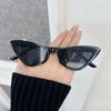 Casual Retro Cat Eye Sunglasses Vintage Square Small Frame Fashion Unisex Glasses for Women Men