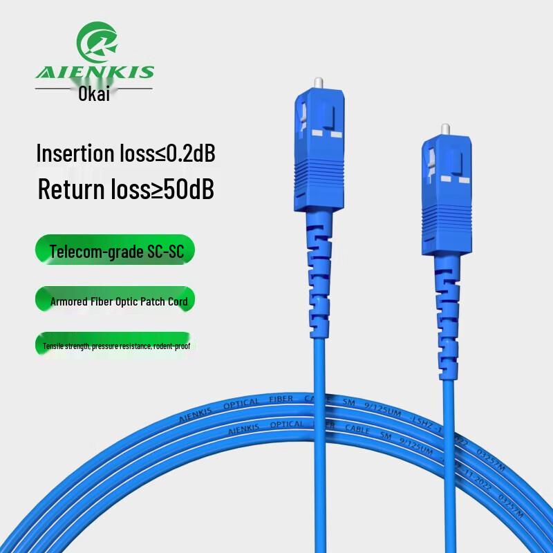 

AIENKIS 10m SC-SC Single-Mode Armored Fiber Optic Patch Cable