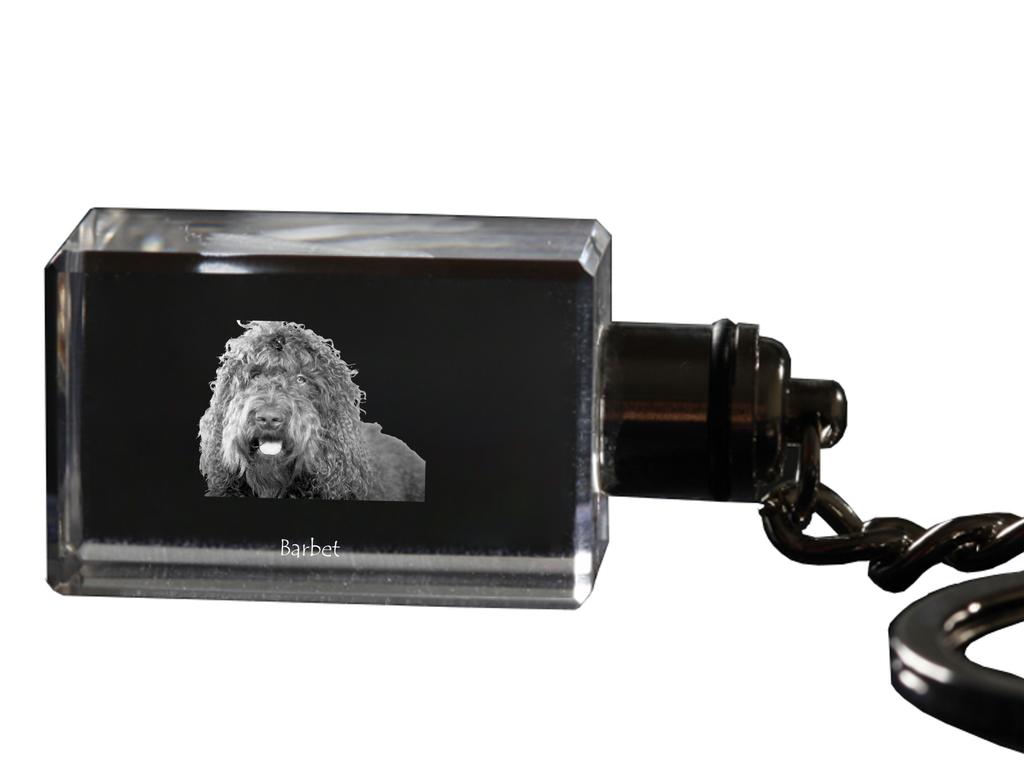Barbet, French Water Dog - Crystal Key Ring with Dog Photo, Illuminated Key Ring, Unique Gift by Art-Dog Brand