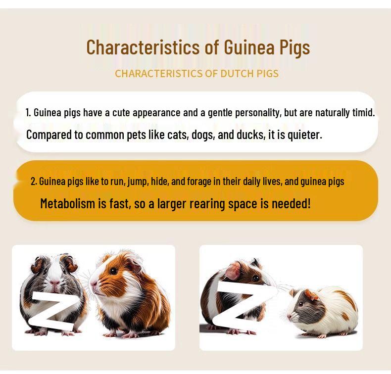 Guinea Pig Playpen & Indoor Villa - Extra Large Cage with Storage