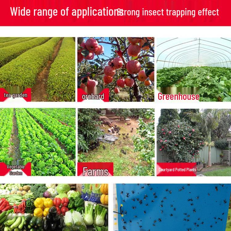 Dual-Sided Insect Sticky Boards: Blue for Attraction, Yellow for Sun & Rain Protection