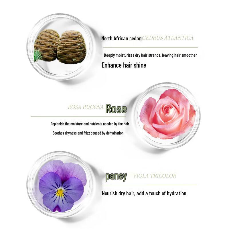 SEEVA Sapindus Smooth & Shine Hair Conditioner