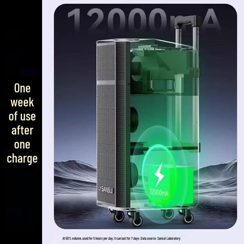 SANSUI G26 Outdoor High-Power Bluetooth Karaoke Trolley Speaker CN plug (adapter included)