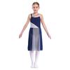 Kids Girls Mesh Overlay Ballet Contemporary Dance Dress Lyrical Leotard Costume Sleeveless Dresses