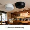 Tianlai 5.5" Ceiling-Mounted 20W Speaker for Coffee Shop Background Music