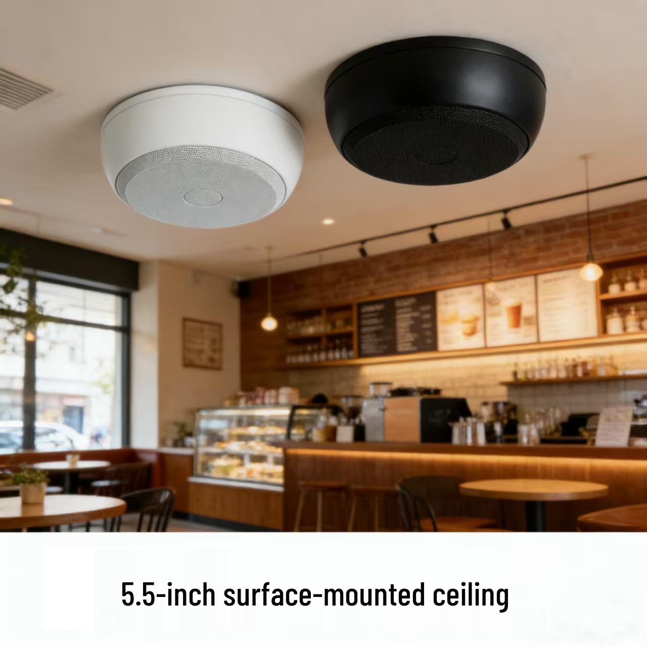 

Tianlai 5.5 Ceiling-Mounted 20W Speaker for Coffee Shop Background Music Diameter 217*90mm