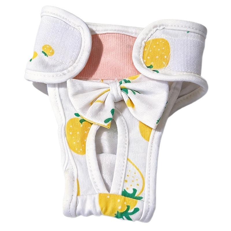 Hygienické kalhotky pro feny - Prevence obtěžování a úniku. Menstruační kalhotky Teddy - pro psy. Menstruační kalhotky - pro psy. Bezpečné a hygienické kalhotky pro psy.