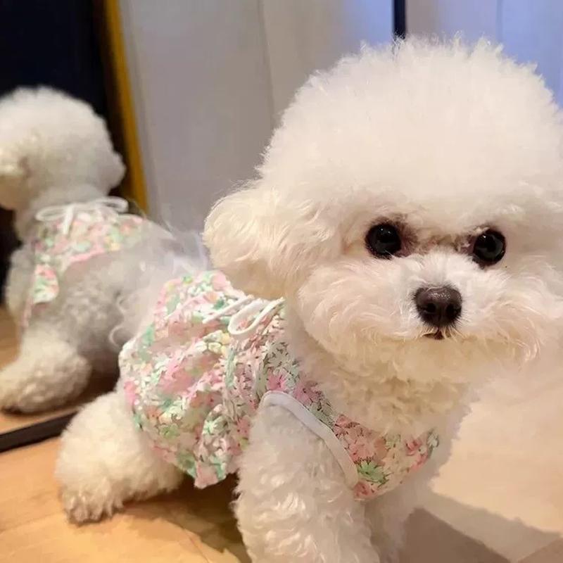 Floral Print Dog Dress, Breathable Summer Sleeveless Skirt For Small Pets