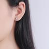 Korean Style Snowflake Star Earrings: Autumn/Winter S925 Sterling Silver with Diamonds.