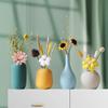 Nordic Ceramic Vase for Creative Home Decor - Living Room & TV Cabinet Dried Flower Arrangement.