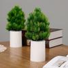 Night Light Pine Cypress Tree Simulation Lamp Battery Operated Desk Night Light for Bedroom Home Decoration Energy Saving Green Plant Gifts