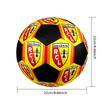 Racing Club De Lens Soccer Ball Colorful All Ages Machine Stitched PVC Competition Ready Durable High-Bounce.SIZE5