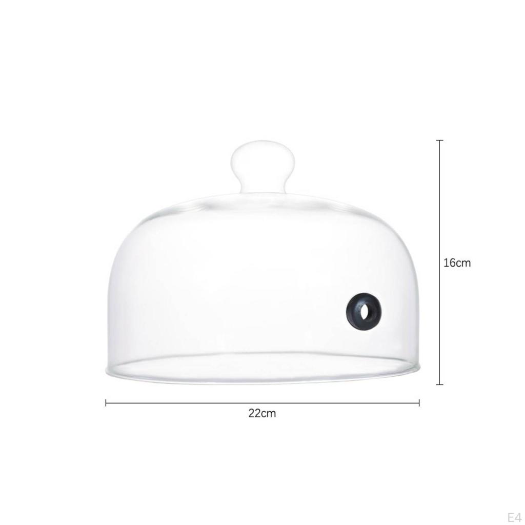 Borosilicate Glass Cloche with Hole Heat-Resistant Smoke-Infusing Dome