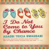 I Do Not Come To You by Chance by Adaobi Tricia Nwaubani Paperback... 9780753826973