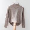 Undercoat for Women In Autumn and Winter Coat and Sweater Half High Neck Knitted Sweater Top