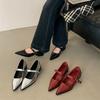 Pointed Mary Jane Shoes Women's 2025 Spring New Shallow Low-heeled Shoes Rivet Single Shoes Thick Heel Burgundy Leather Shoes