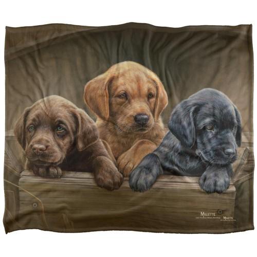 Wild Wings Silky Puppies Supersoft Blanket