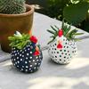 Vaso Fiorito Gallina Maculata Divertente Vaso Fiorito Modello Gallo Carino Fioriera Decorazione Giardino Cortile Fattoria Regalo