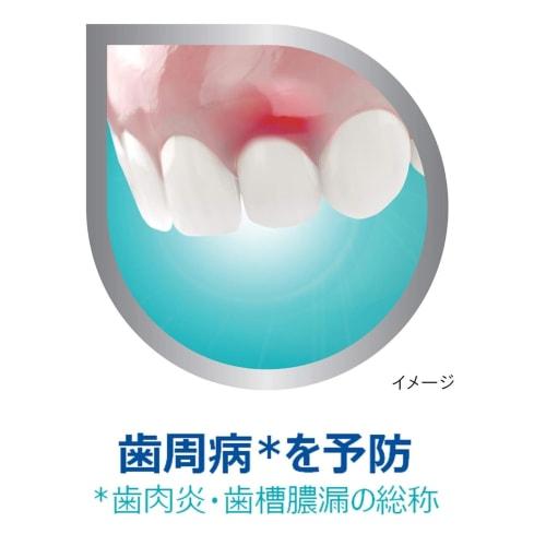 Earth Chemical Polident Dental Lab Medicated Toothpaste, 100g X 5 Packs