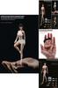 Exquisite 1/12 Scale Female Seamless Body Ideal For Collectible Decoration And Gifts