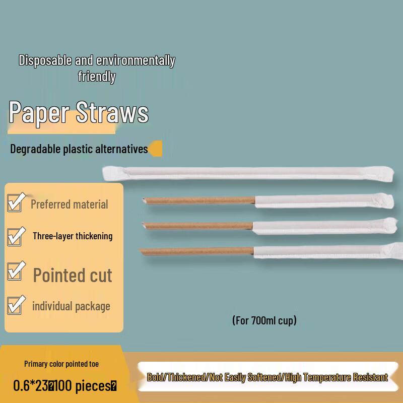 Homeglen Individually Wrapped Paper Drinking Straws