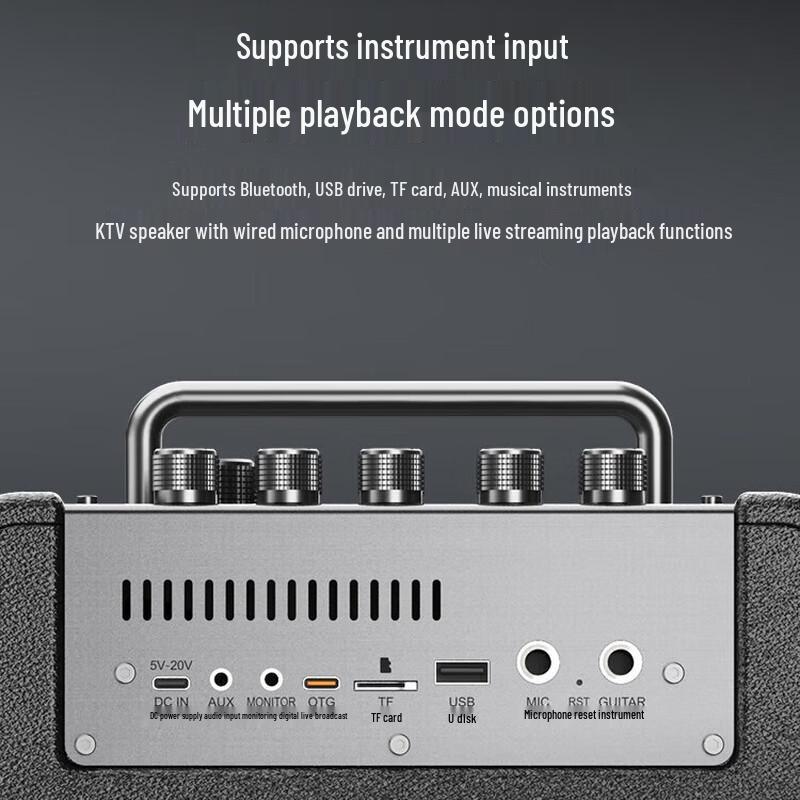 W-King T6S Portable Karaoke Bluetooth Speaker