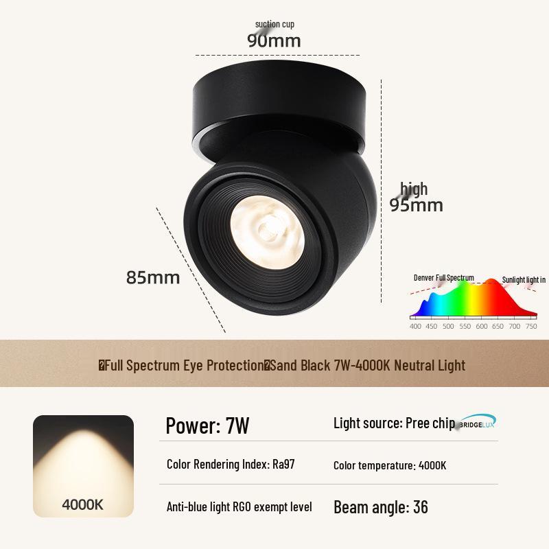 Adjustable Rotatable Surface-Mounted Downlight for Living Room, Aisle, Entrance, Bedroom - No Main Light Required