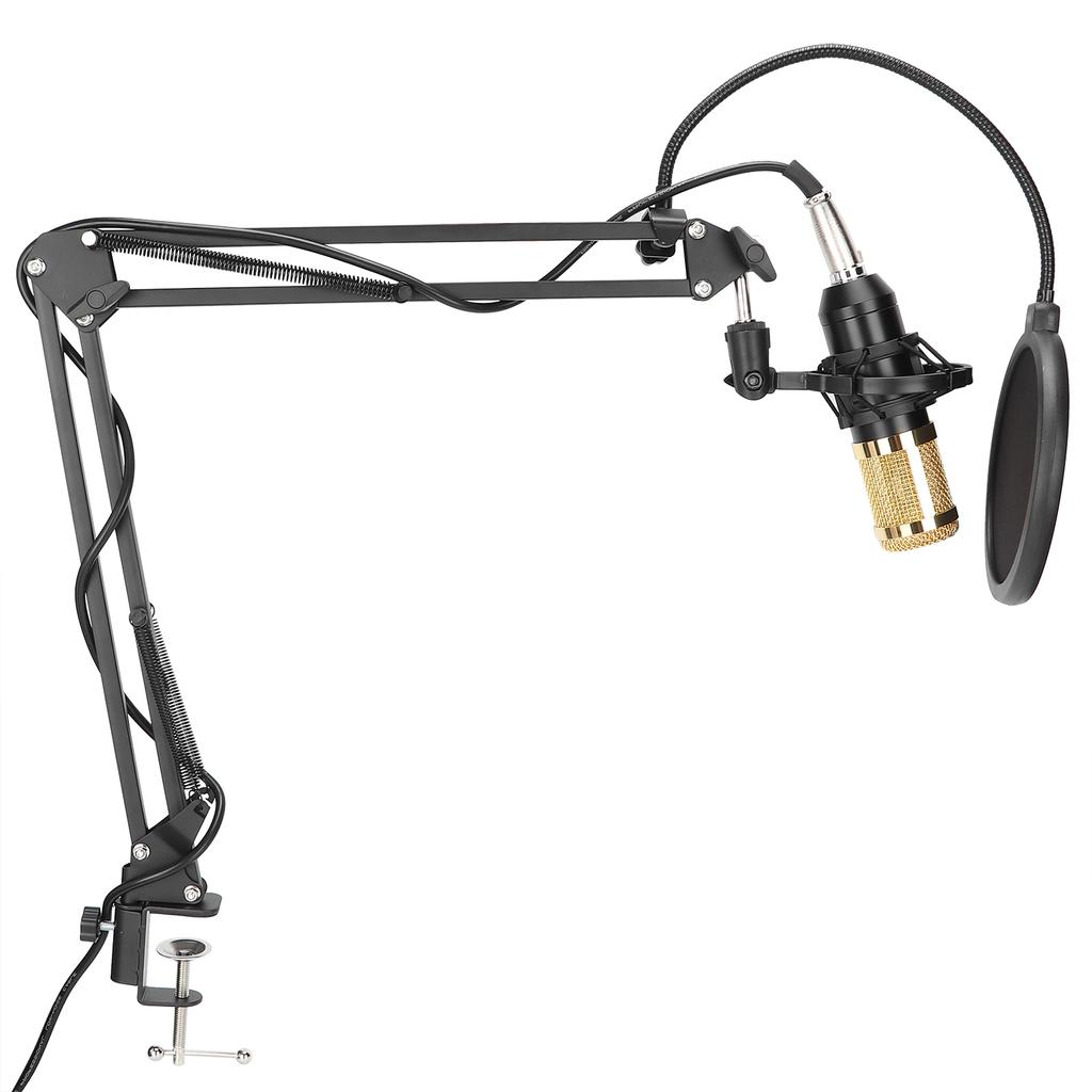 Buy Condenser Microphone Bundle Studio Mic Kit with Pops Filter Boom