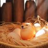Creative Shiba Inu Realistic Egg Shape PVC Desk Decor Dog & Egg Union Decorations For Home Offices Fun Christmas Gifts