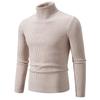 Herren Pullover Herbst/Winter 2024 Hoher Kragen Unifarben Lässig Gestrickt