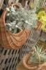 Posh Living Cesta de Vime C 11547