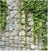 Stone Wall Shower Curtains Spring Green Leaves Vine Plant Rustic Farm House Polyester Fabric Bathroom Decor Bath Curtain Sets