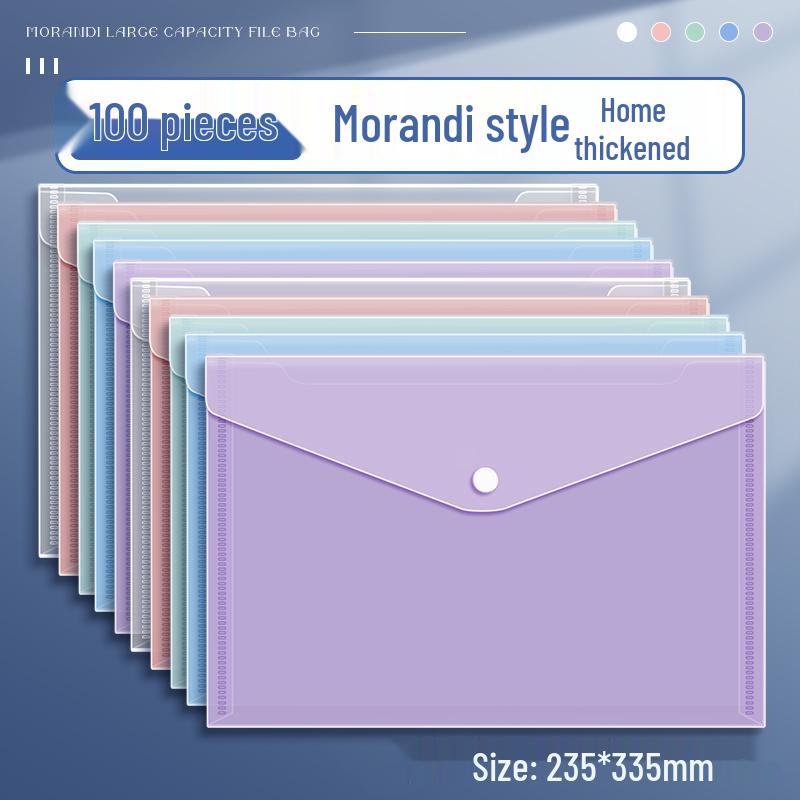 Transparent A4 File Bag, Large Capacity Snap Button, Test Paper & Document Storage for Students