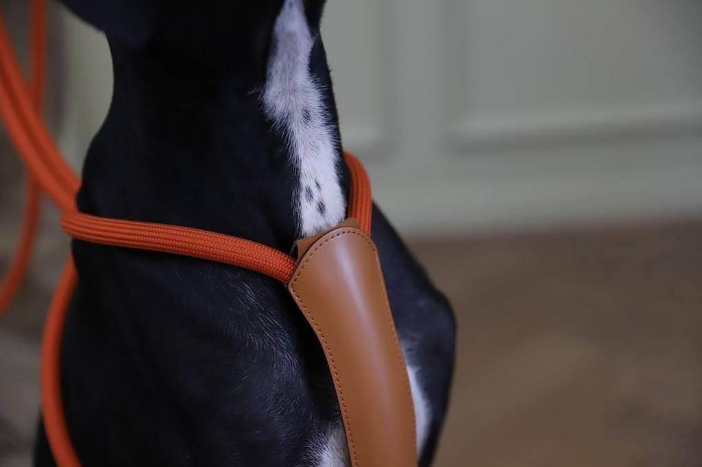 Essential Harness Dog Pet Rope Come Small Medium Large Dog Come Soft Harness All Dog Breeds [HOZI] Harness, Harness, Harness, Stylish, Soft, Washable,