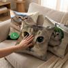 Humorous Animal Quirky Cat Print Cushion Comical Cat Face Decor Pillow  Pet Lover Decor