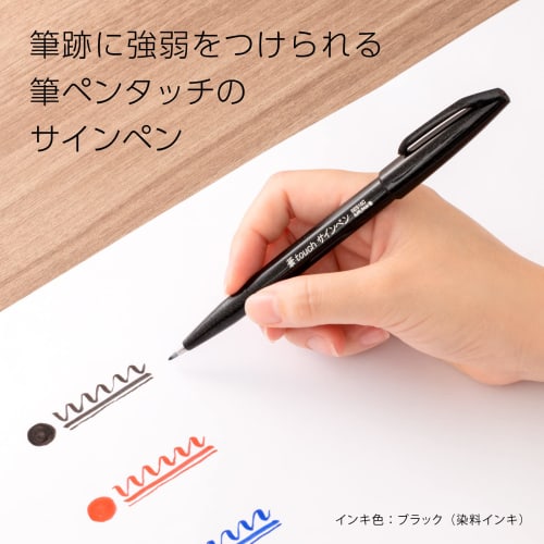 Pentel Signature Pen Brush Touch SES15C-A Set of 10 Black