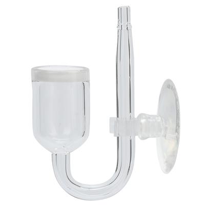 Pesci e animali marini – Manutenzione acquario