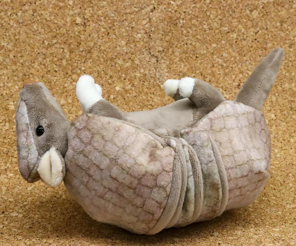 Takeoff Three-banded Armadillo