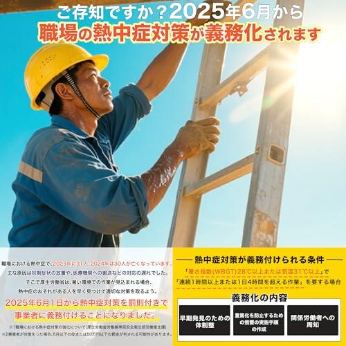 Black Globe Type Heatstroke Meter, Thermometer and Hygrometer with Clock, Heatstroke Index (WBGT), Alarm, Backlight, Silent Operation, for Indoor and