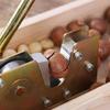 Wooden Base Cracker Tool Nut Tongs Easy to Use Nut Sheller Chestnut Opener Nutcracker Walnut Pliers