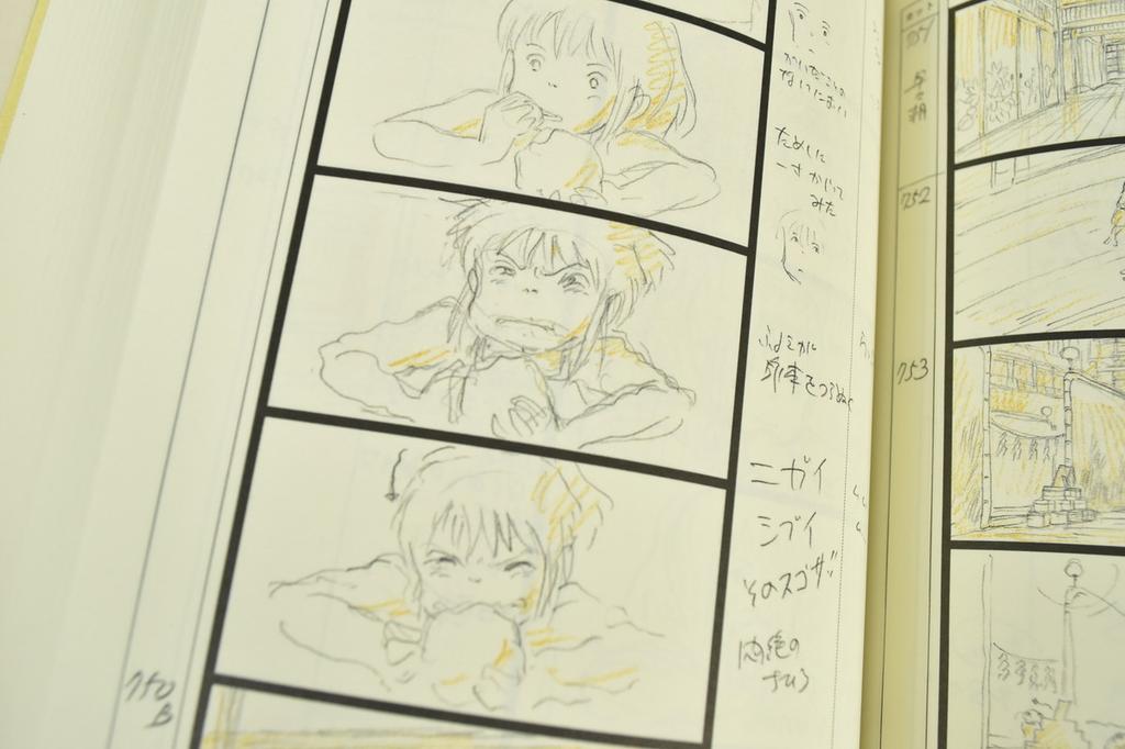 Studio Ghibli Storyboard Collection Spirited Away Vol. 13 by Hayao Miyazaki
