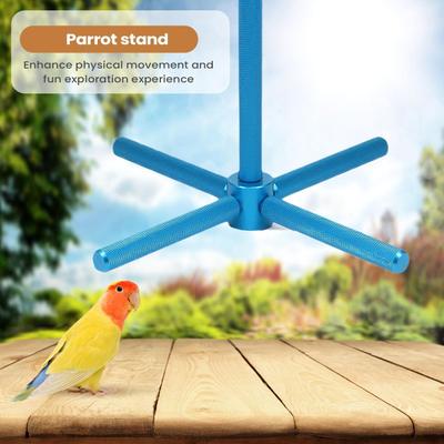 Vogelspielzeug 360 Grad drehbarer Knabber-Vogelständer Sitzstange Käfig Kauspielzeug für Bewegung Spielen Kleiner Mittlerer Großer Keilschnabel Lovebirds