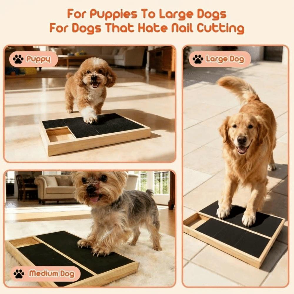 Wooden Dog Scratch Board Wear-resistant Nail Trim Pad Drawer Snack Box Pet Grooming