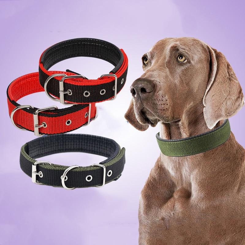 Pet Collar Made Of Pp Polypropylene Breathable And Comfortable Suitable For All Seasons