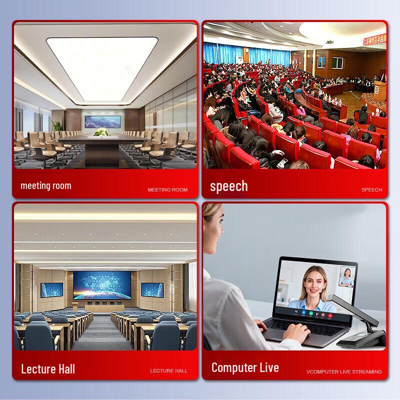 Hikvision Conference Wireless Dual Microphone System (CN version)