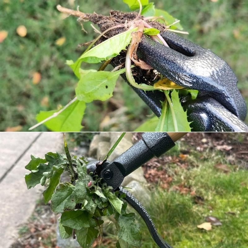 Garden Hand Weeding Tool with Long Handle and 4 Claw Head 3 Sectional Poles for Weeds Puller Removal Without Bending