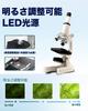 Microscope for Elementary School Students and Children [40X~3200X, with Specimen] - Made In Japan - Popular with Junior High and High School Students,